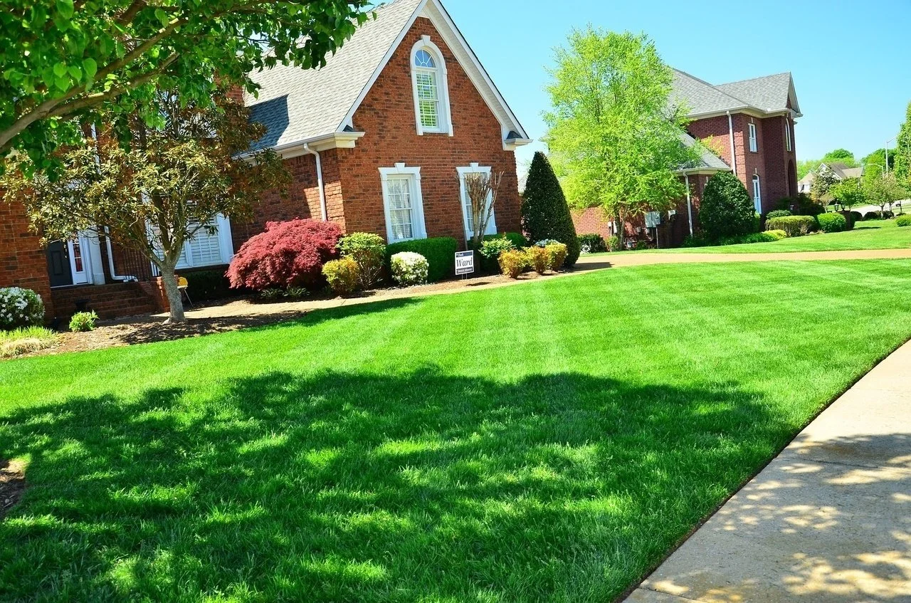 Crisp Lawn