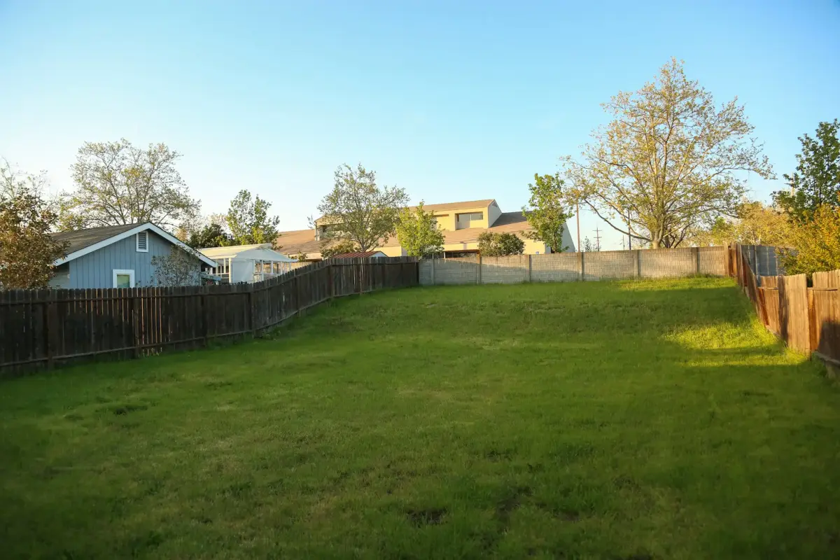 Backyard Before & After